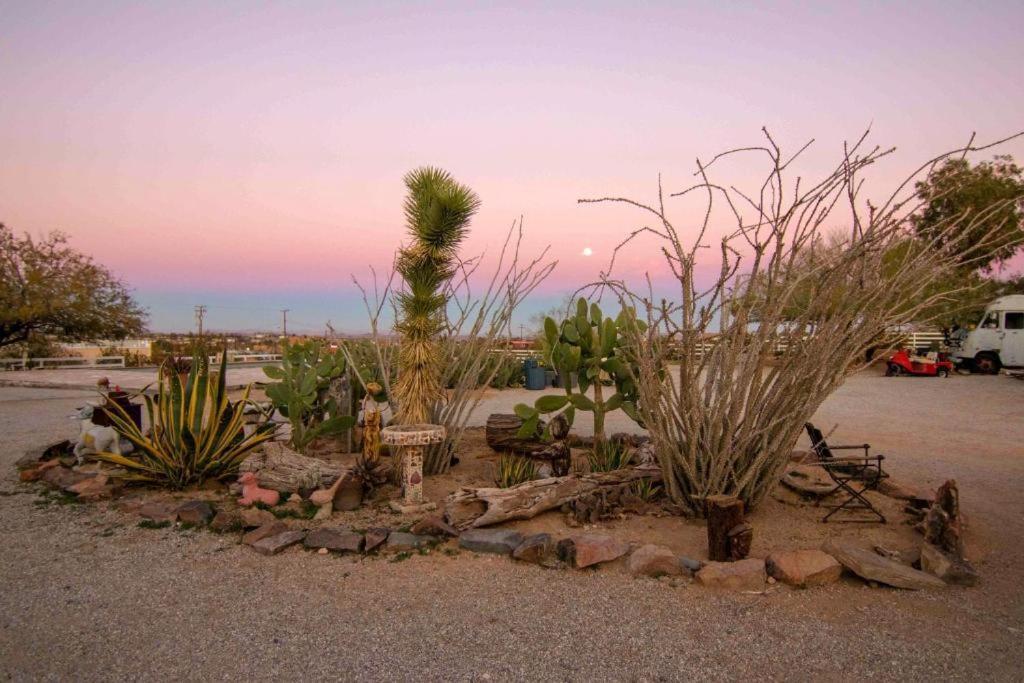 Joshua Tree Ranch House Motel - Downtown - Room #3 Exterior foto